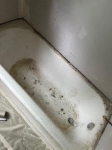 MicrosoftTeams-image (19)