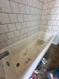 MicrosoftTeams-image (22)